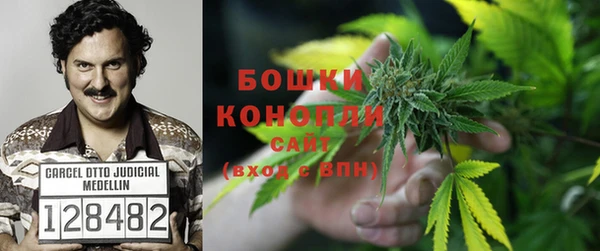 прущие крисы Магас
