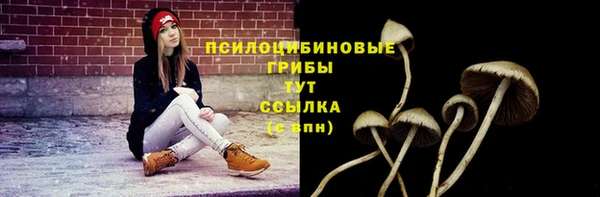 эйфоретик Медвежьегорск