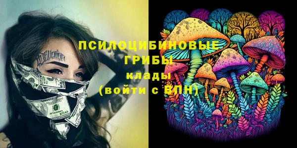 эйфоретик Медвежьегорск